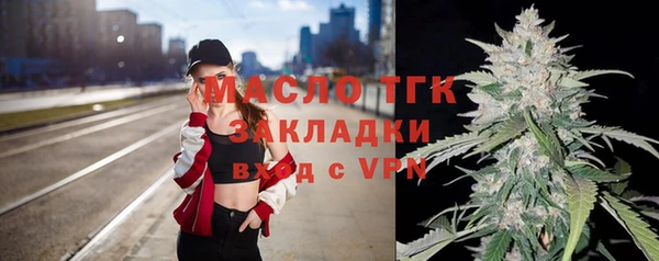круглые Гусев
