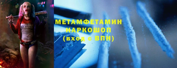 круглые Гусев