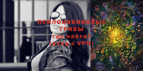 spice Гусь-Хрустальный
