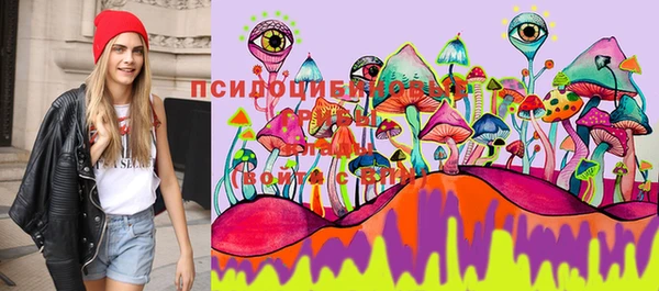 spice Гусь-Хрустальный