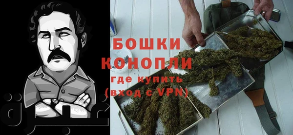 круглые Гусев