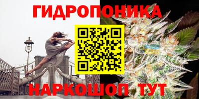 дживик Кингисепп