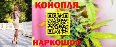 сатива Донской