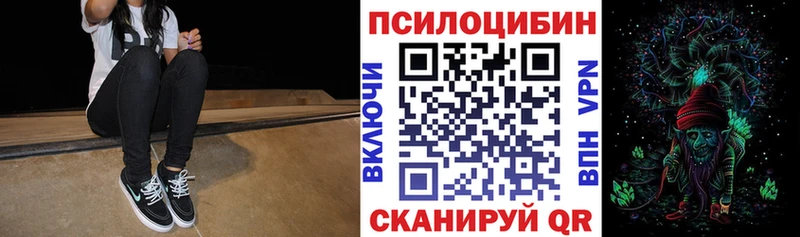 закладки Острогожск Галлюциногенные грибы Cubensis