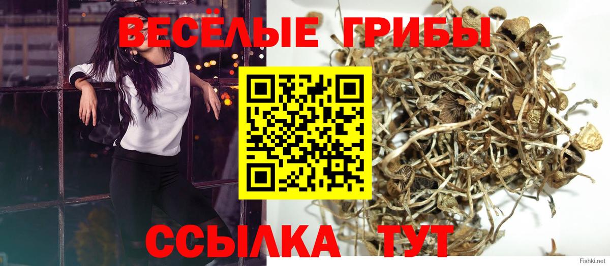 Галлюциногенные грибы Cubensis  Вход с VPN  Острогожск 